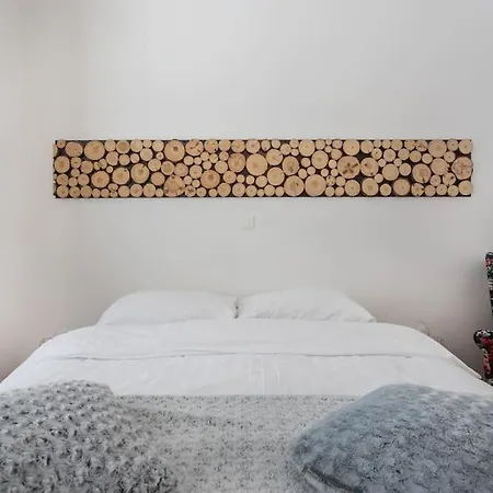 Spacious In Historic Centre & Free Parking Apartment Ljubljana