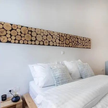 Apartment Spacious In Historic Centre & Free Parking Ljubljana