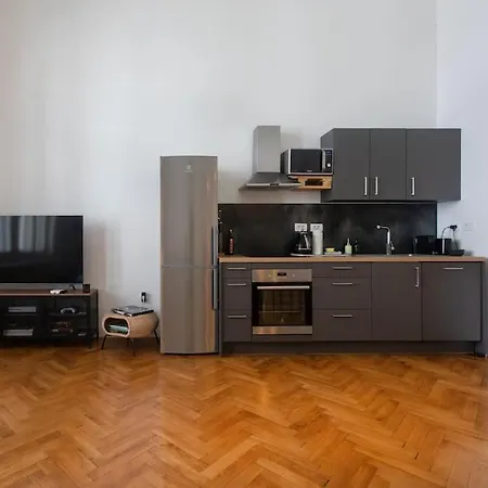 شقة Spacious In Historic Centre & Free Parking ليوبليانا