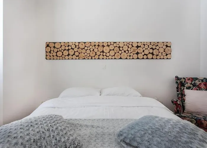 Spacious In Historic Centre & Free Parking Appartement Ljubljana